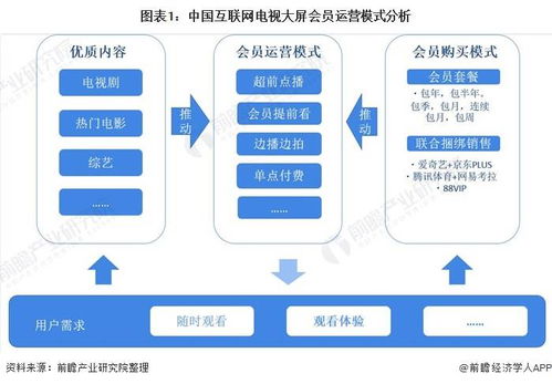 2020年中國(guó)互聯(lián)網(wǎng)電視行業(yè)會(huì)員服務(wù)市場(chǎng)現(xiàn)狀與發(fā)展趨勢(shì)分析